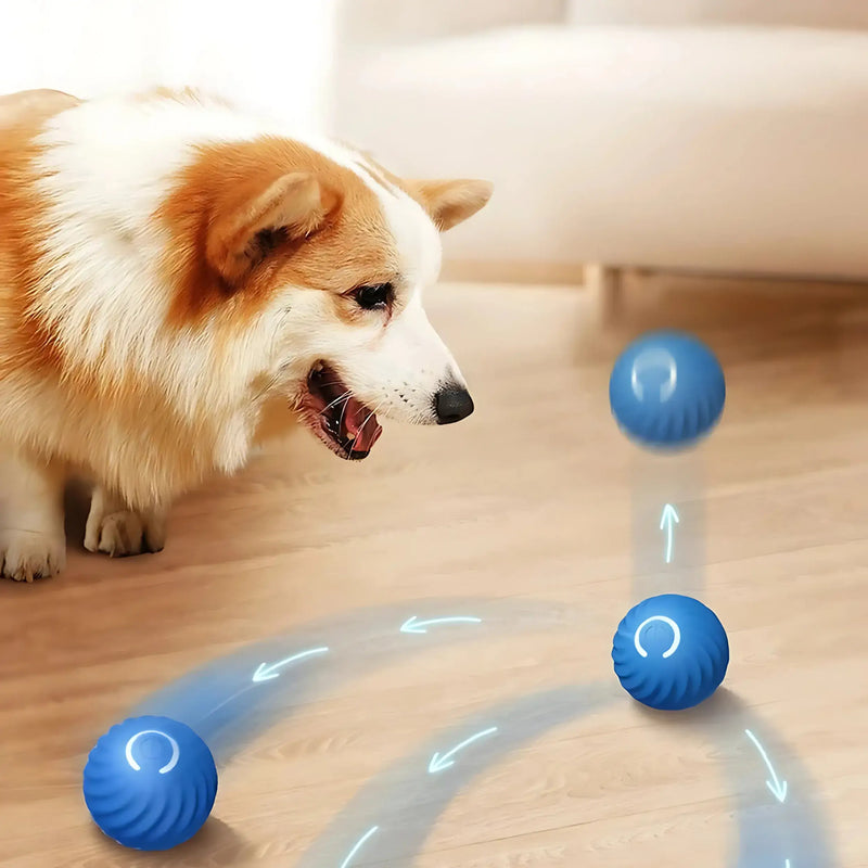 Bola Interativa Inteligente para Pets - Smart Ball©