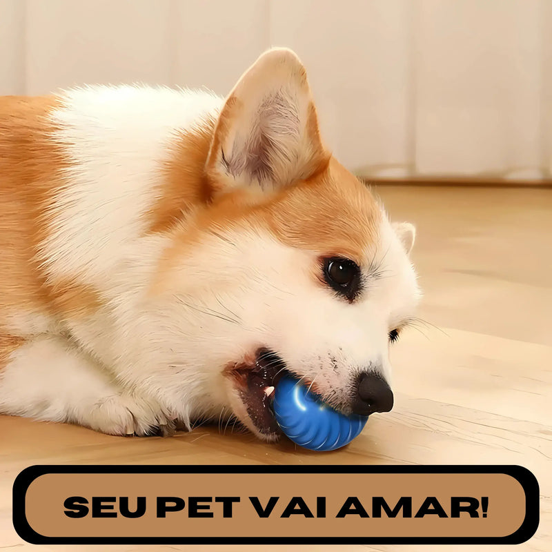 Bola Interativa Inteligente para Pets - Smart Ball©