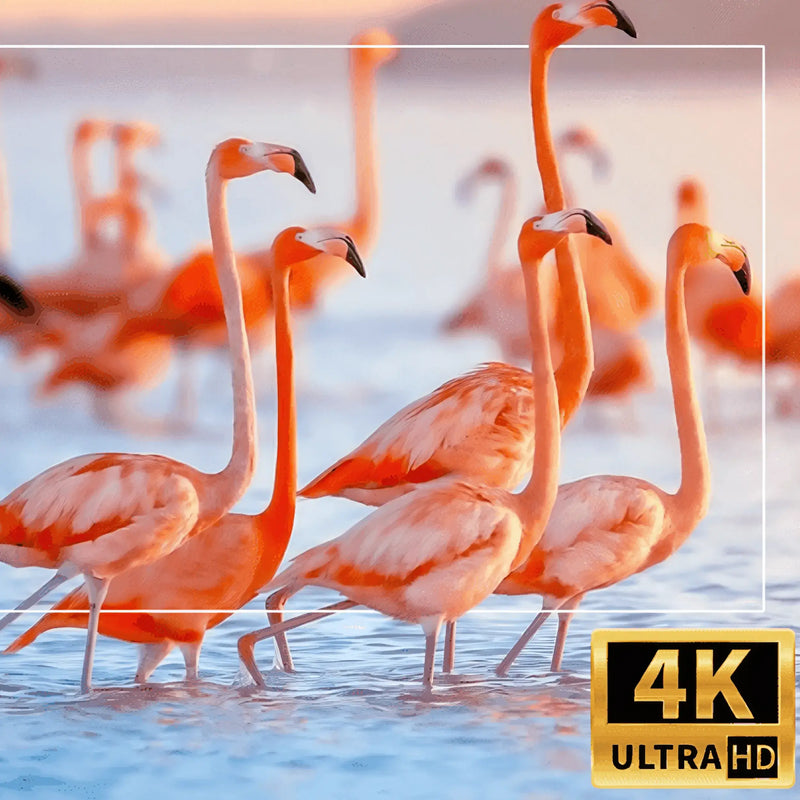 Projetor Portátil 4K Ultra HD - Cine Smart©